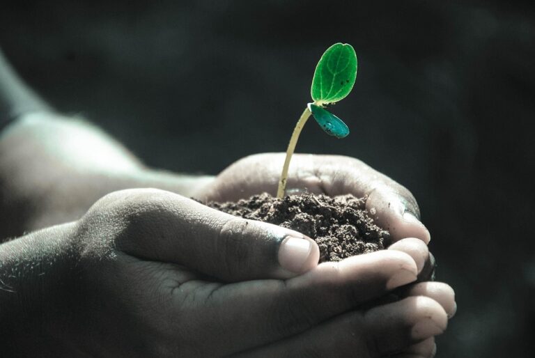 Unlocking 2023: Top Marketing Trends Every Business Must Embrace Now!